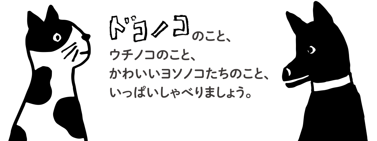 「ドコノコ」のこと、ウチノコのこと、かわいいヨソノコたちのこと、いっぱいしゃべりましょう。2016年8月27日（土) 13：00～/15：00～Apple Store表参道でオフ会みたいなことやります。