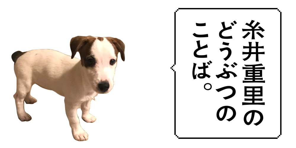 第23回 糸井重里の どうぶつのことば ドコノコ 第23回 糸井重里の どうぶつのことば ドコノコ