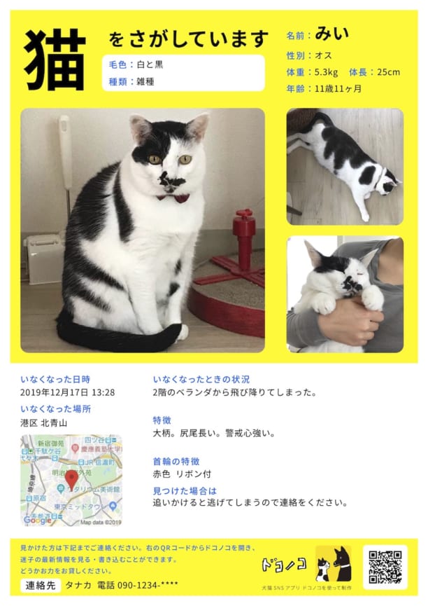 犬と一緒に生き残る防災BOOK」発売のご紹介。 - ドコノコ